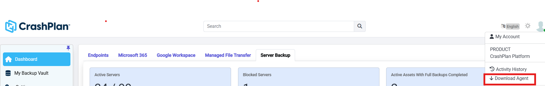 Download Agent - Server Backup