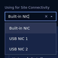 Select NIC using for Site Connectivity