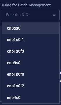 Select NIC for Patch Management