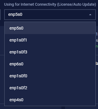 Select NIC for Internet Connectivity (License/Auto Update)