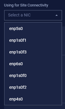 Select NIC for Site Connectivity