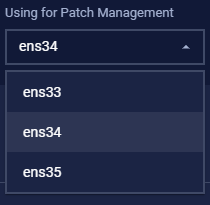 Select NIC for Patch Management