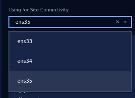 Select NIC using for Site Connectivity