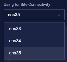 Select NIC for Site Connectivity