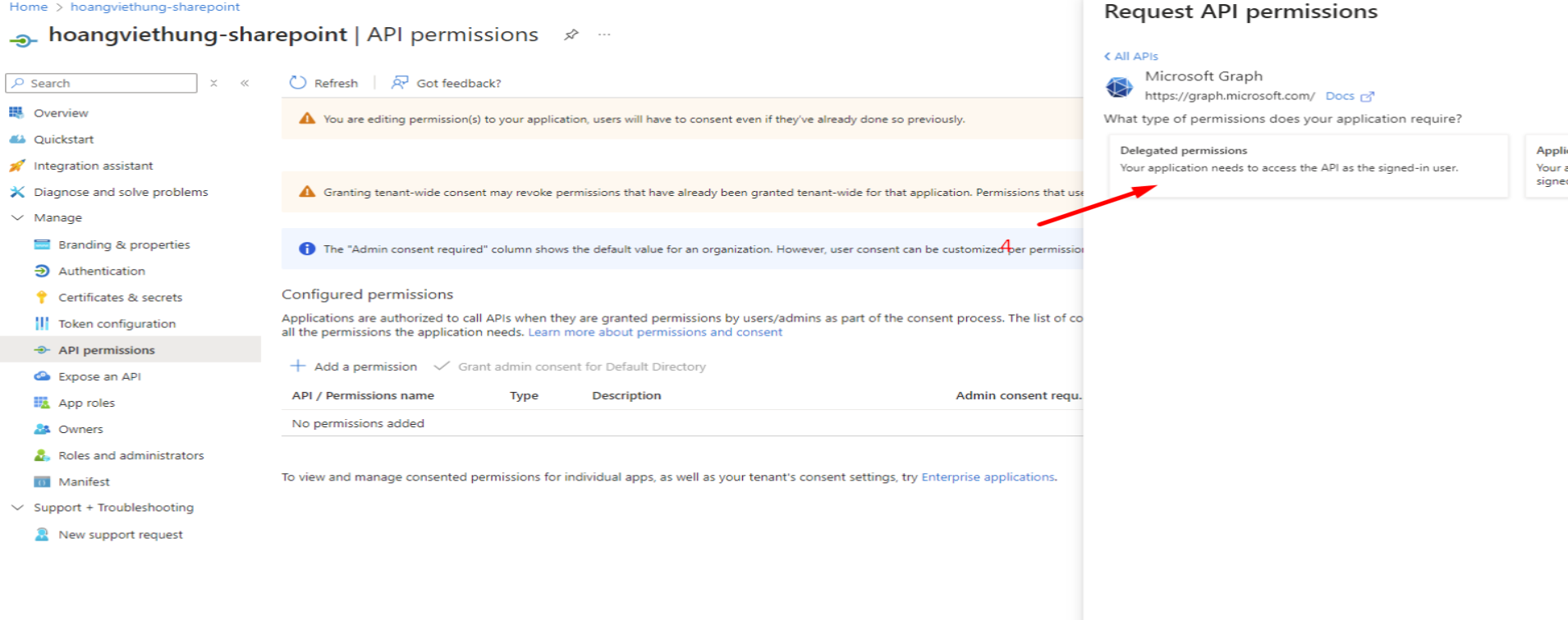 _Select Delegated permissions_