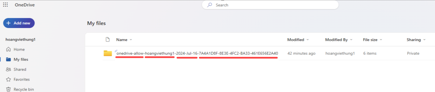 __
_Example of OneDrive folder name format_