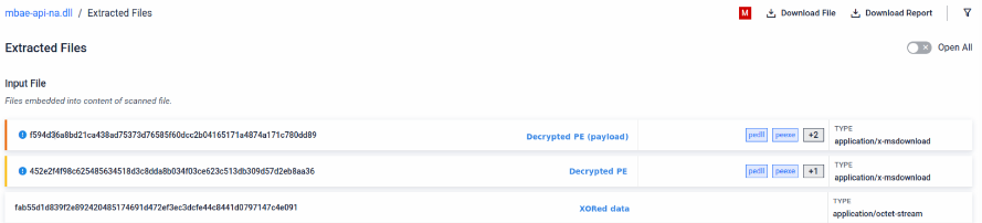 Payload extracted after XOR decryption