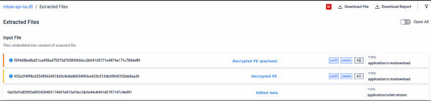 Payload extracted after XOR decryption