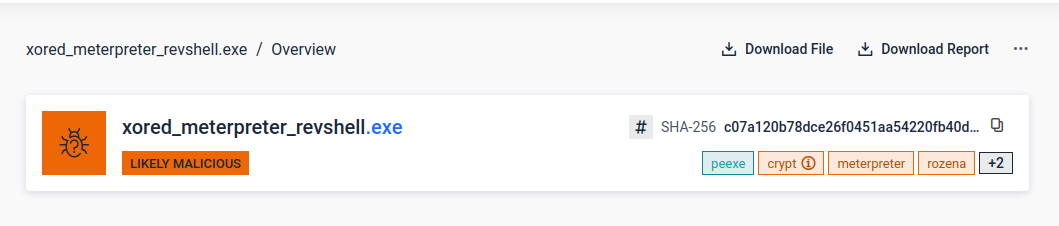 Scan Without PE Emulation - Malicious Activity Suspected