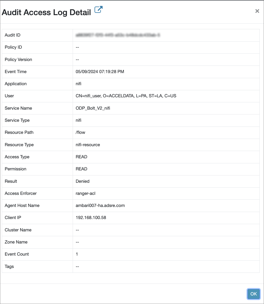 Audit Access Log Detail