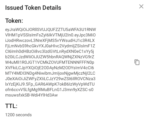Example of issued token