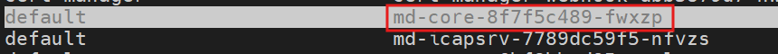 Pod name before restart