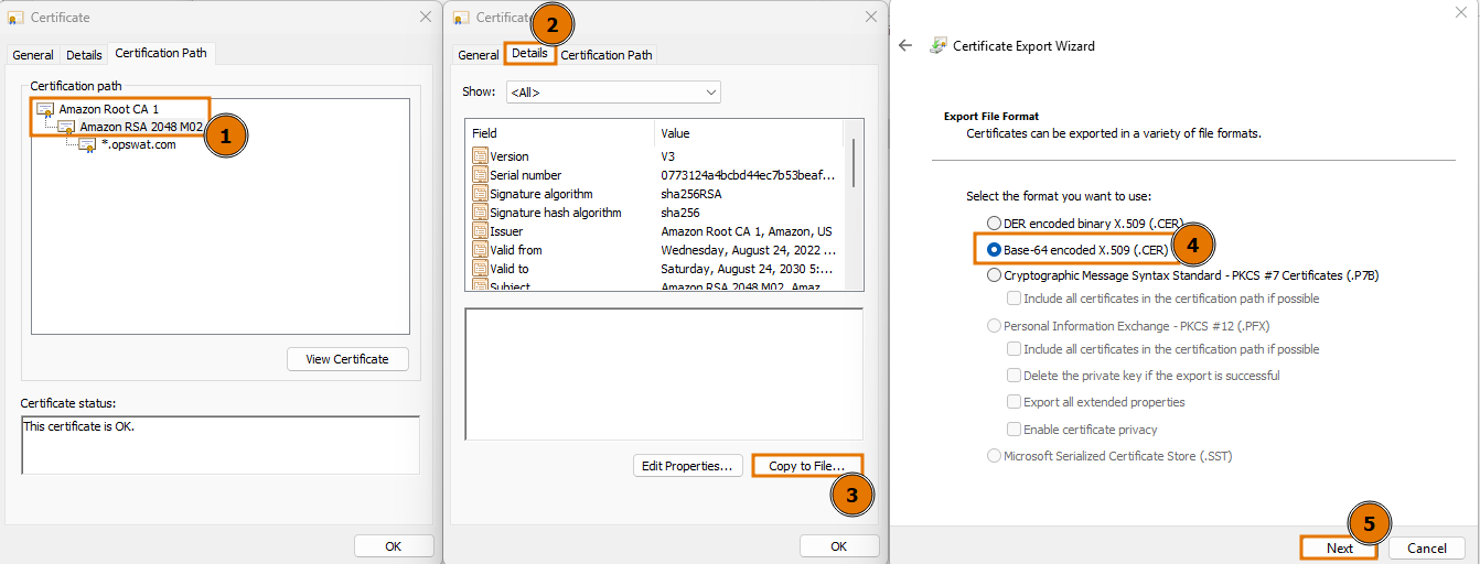 Export the root and intermediate certificates.