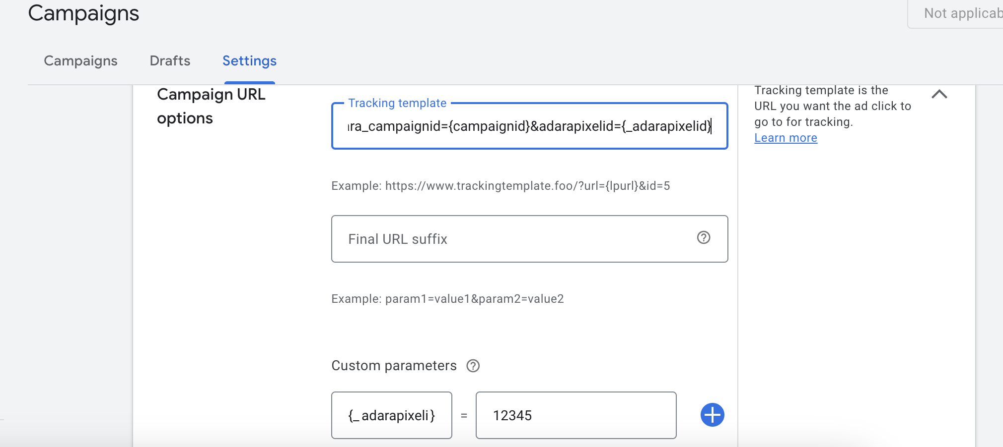 Campaign URL Options view within Google Ads