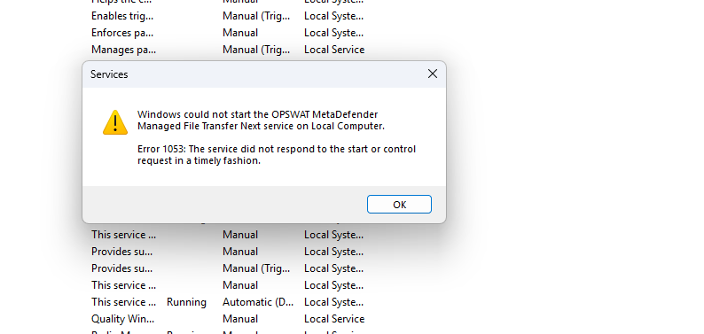 Manual service start fails