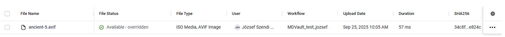 Overridden file status